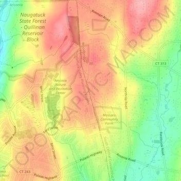 Ansoniaの地形図、標高、地勢